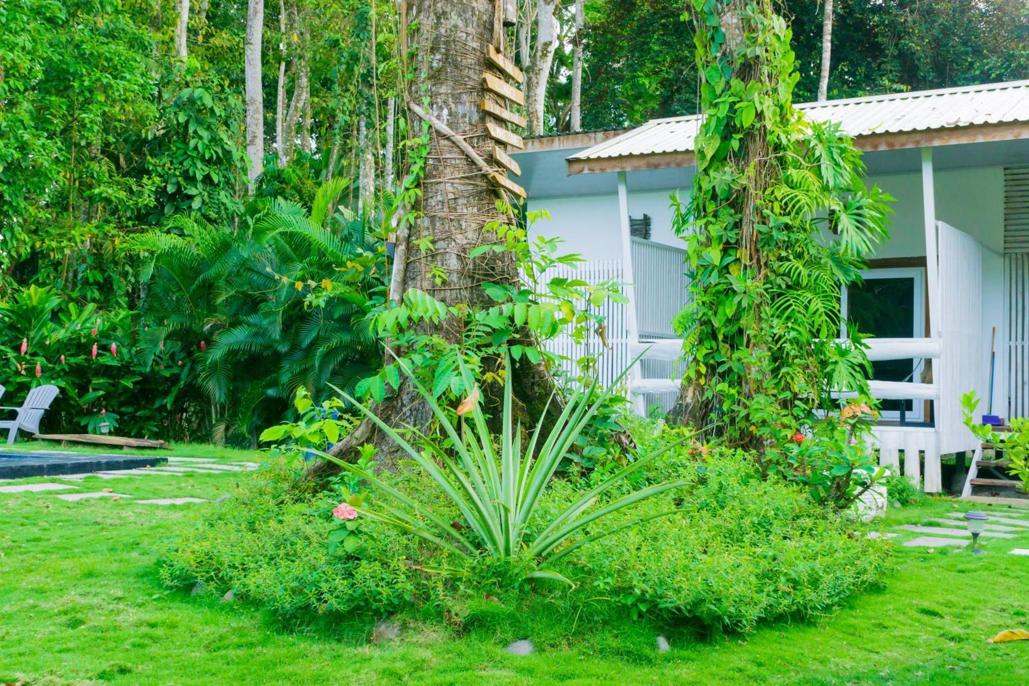 Olivia Del Caribe Suite Puerto Viejo de Talamanca Экстерьер фото