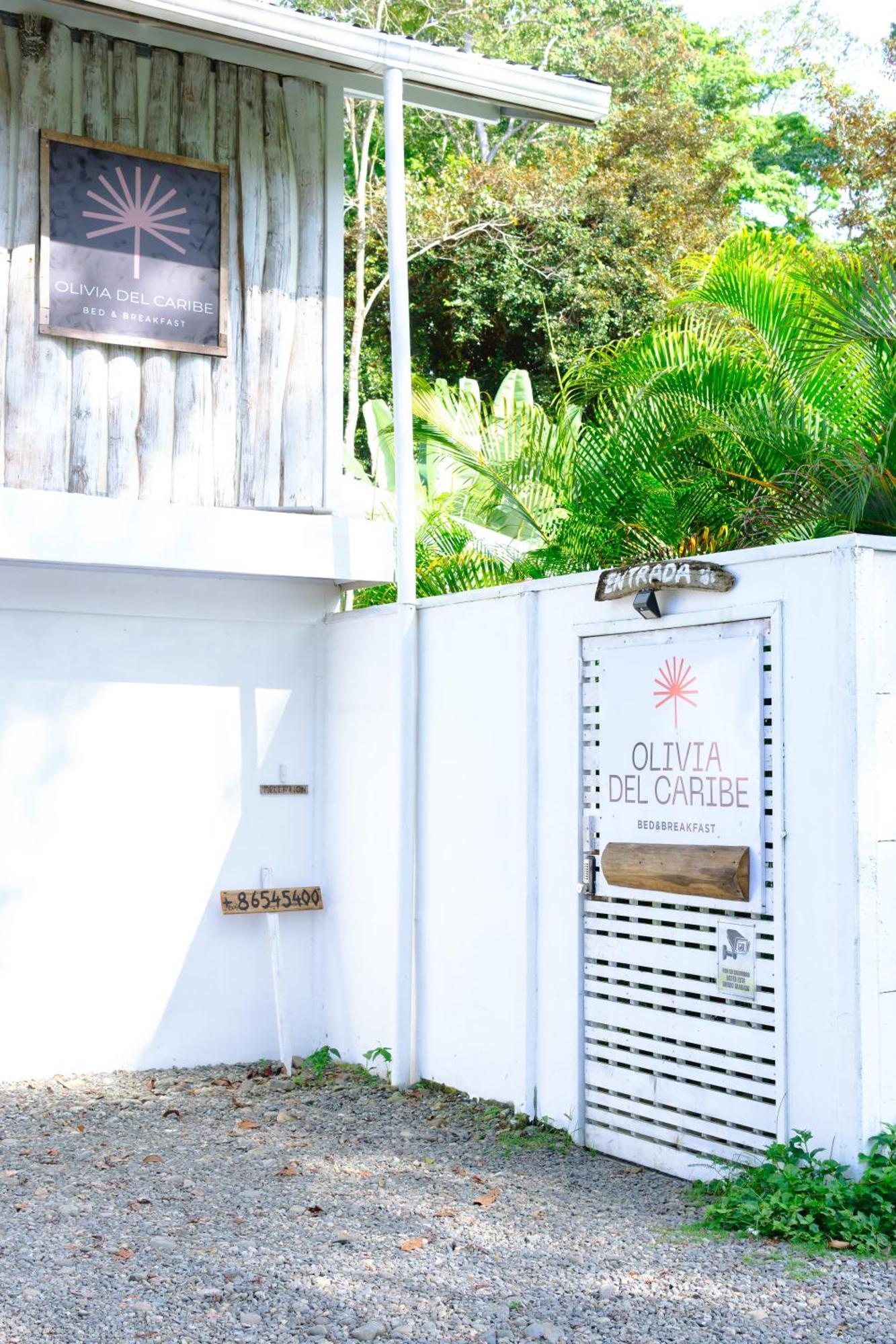Olivia Del Caribe Suite Puerto Viejo de Talamanca Экстерьер фото